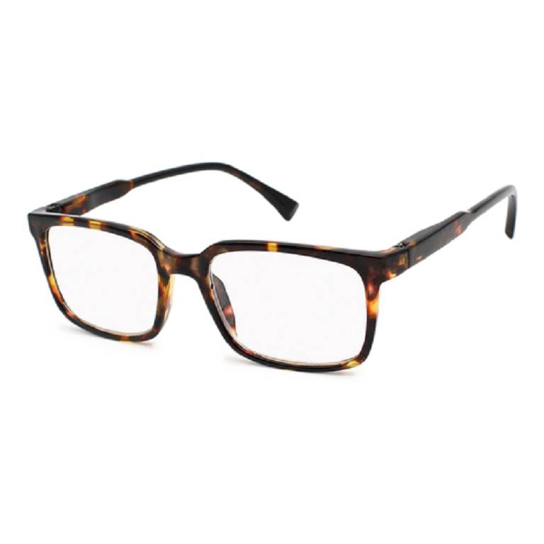 VISIOMOON GIAVA 2,5